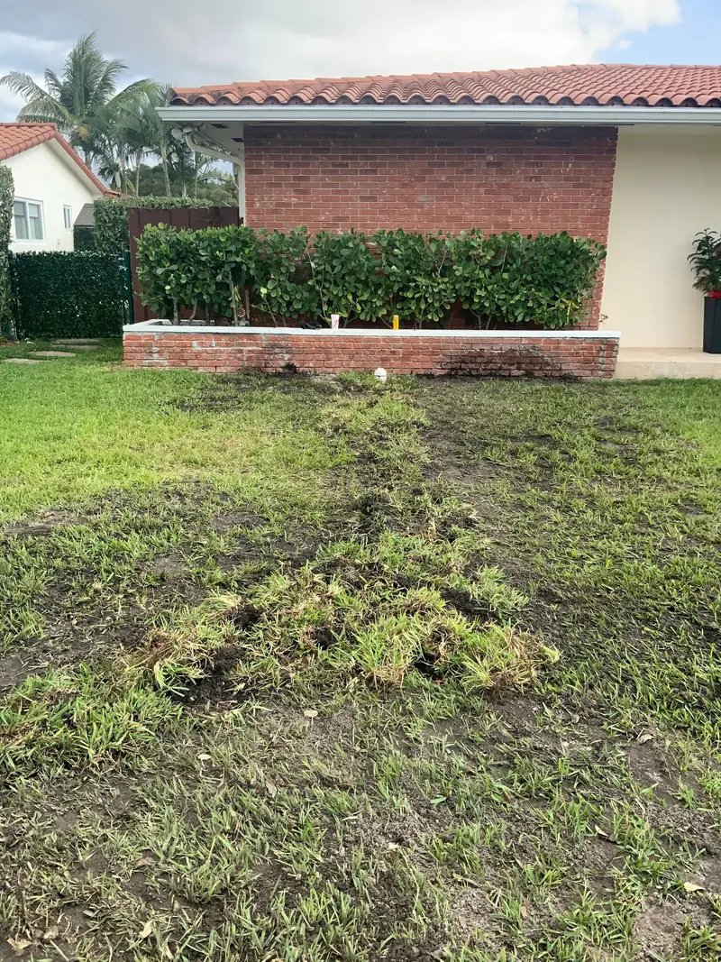 Front lawn of a Miami-area home with the trench line from a pipe repair settling back in