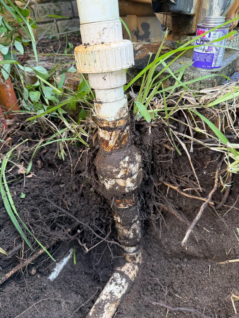 Old pipe joint coming out of the ground wrapped in roots